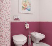 Тулуза роза (Tuluza rosa) 3